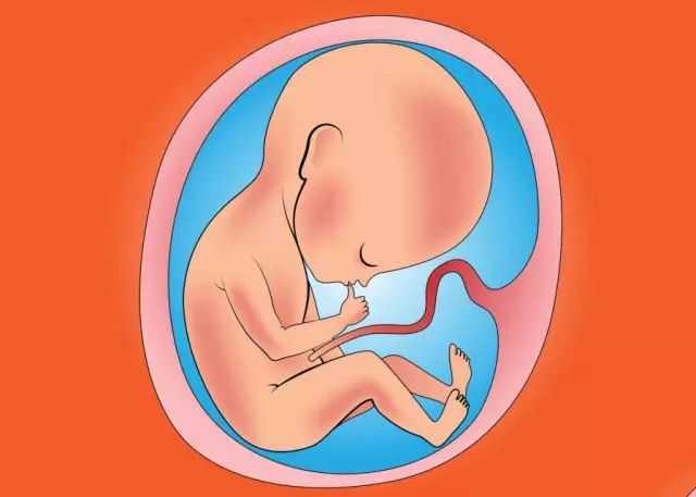 成都代怀孕中介-成都代怀孕机构